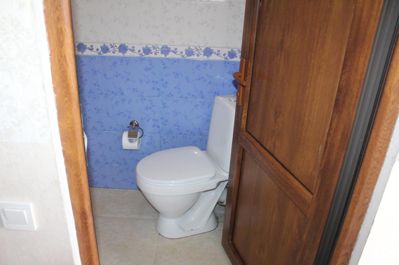 Roza Guesthouse 卡兹贝吉 外观 照片