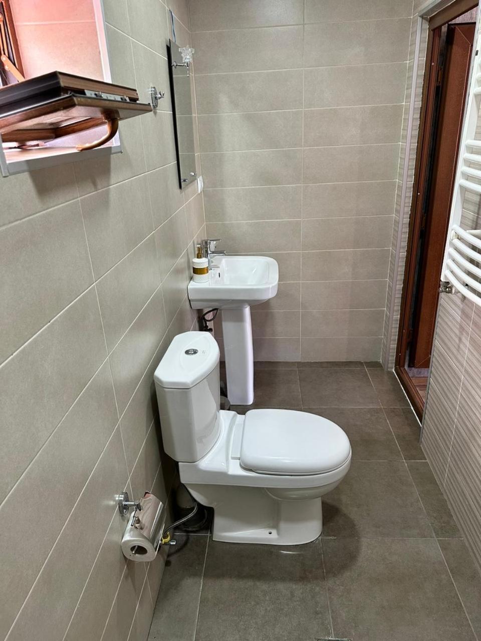 Roza Guesthouse 卡兹贝吉 外观 照片